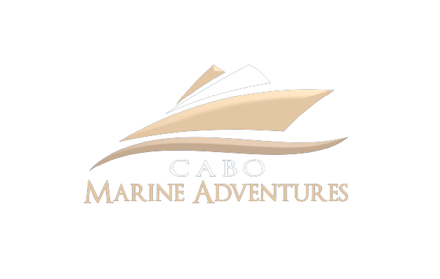 Cabo Marine Adventures